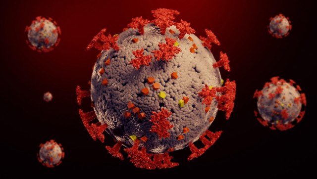 Studija: Koronavirus može da mutira u telu zaraženog